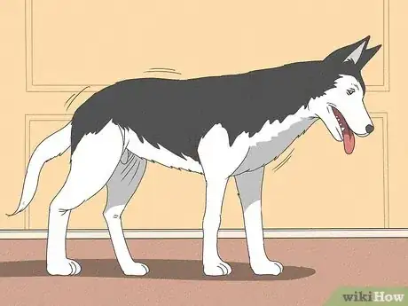 Imagen titulada Know When Your Dog is Sick Step 17