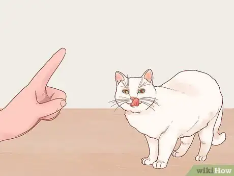 Imagen titulada Stop Your Cat from Begging Step 7