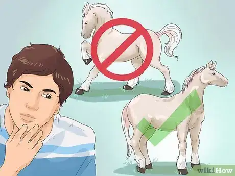 Imagen titulada Approach Your Horse Step 1