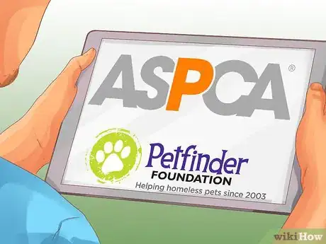 Imagen titulada Buy Already Trained Dogs Step 1