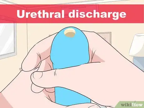 Imagen titulada Know if You Have Epididymitis Step 4