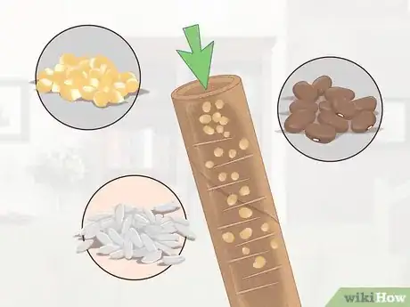 Imagen titulada Make a Rain Stick Step 3