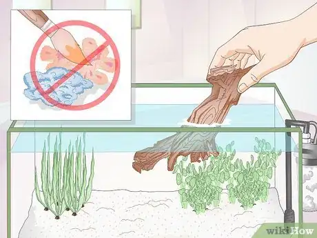 Imagen titulada Creatively Decorate a Freshwater Fish Tank Step 11