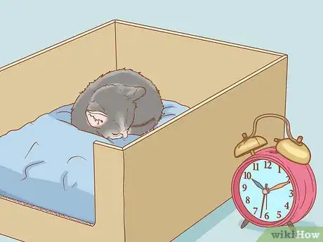 Imagen titulada Get a Kitten to Fall Asleep Step 3