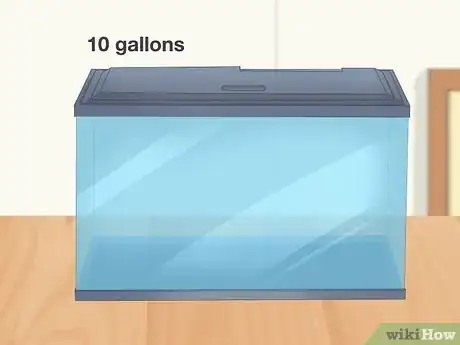 Imagen titulada Care for a Marine Hermit Crab Step 1