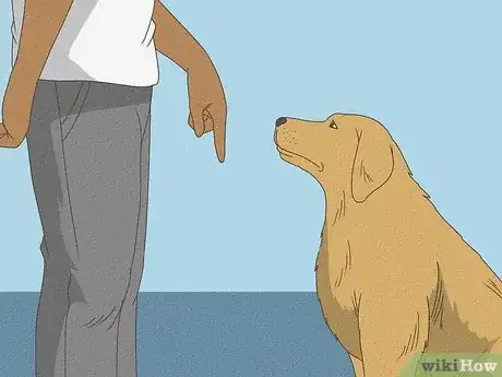 Imagen titulada Tell Your Dog No Step 12