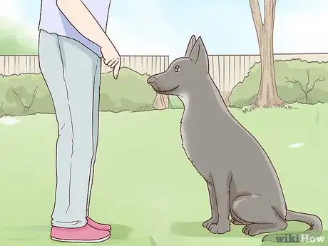 Imagen titulada Calm an Aggressive Dog Step 3
