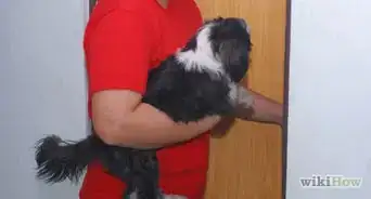 hacer que un cachorro deje de gruñir cuando lo cargas