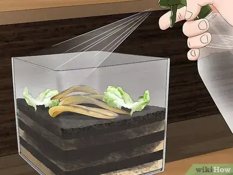 Imagen titulada Make a Worm Habitat Step 9