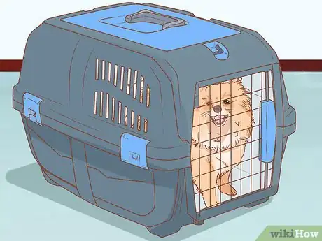 Imagen titulada Take Care of a Pomeranian Step 4
