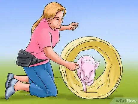 Imagen titulada Show Your Pigs Step 7