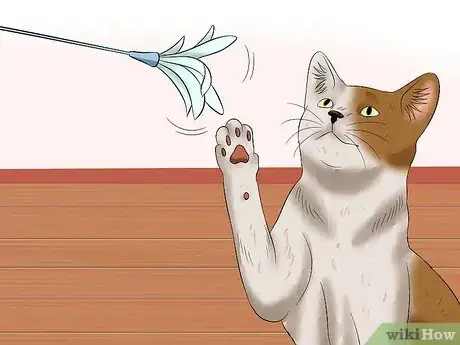 Imagen titulada Deal With a Female Cat in Heat Step 4