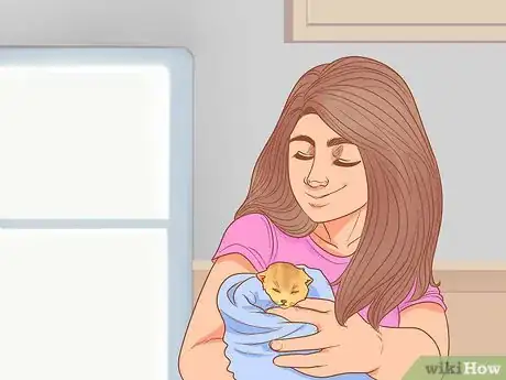 Imagen titulada Pick Up a Kitten Step 17