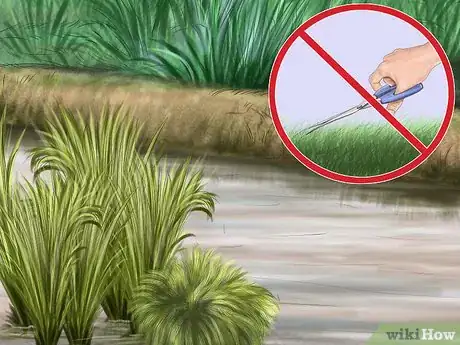 Imagen titulada Attract Ducks Step 11