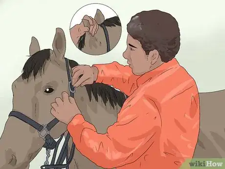 Imagen titulada Approach Your Horse Step 10