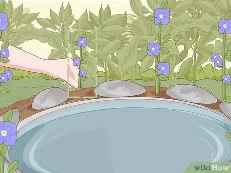 Imagen titulada Create a Habitat for a Toad Step 5