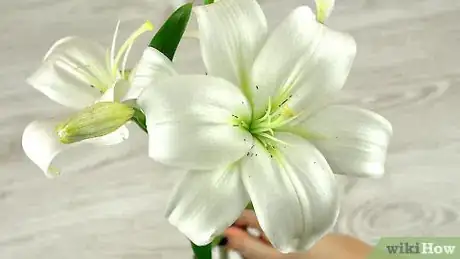 Imagen titulada Preserve Flowers in a Jar Step 11