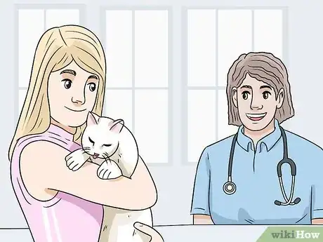 Imagen titulada Feed a Diabetic Cat Step 13