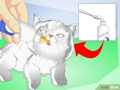 Imagen titulada Get Your Kitten to Eat Step 4