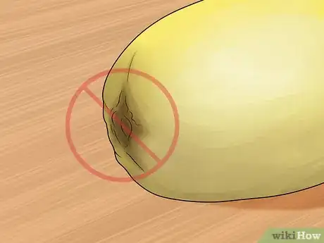 Imagen titulada Buy Spaghetti Squash Step 2