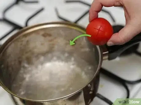 Imagen titulada Seed Tomatoes Step 11