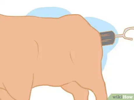 Imagen titulada Collect Semen from a Bull for a Breeding Soundness Exam Step 8