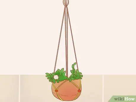 Imagen titulada Prevent Cats from Eating Plants Step 1