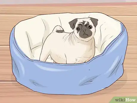 Imagen titulada Get Another Dog After a Pet Dog's Death Step 15