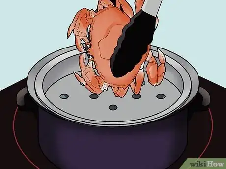 Imagen titulada Cook a Crab Step 8