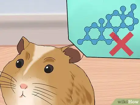 Imagen titulada Stop a Guinea Pig from Shedding Step 12