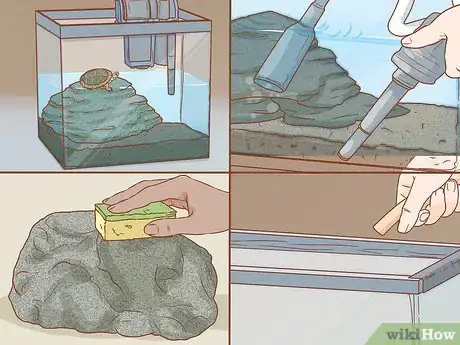 Imagen titulada Care for Turtles Step 16