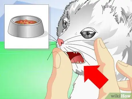 Imagen titulada Get Your Kitten to Eat Step 9