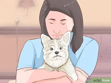 Imagen titulada Get Another Dog After a Pet Dog's Death Step 4