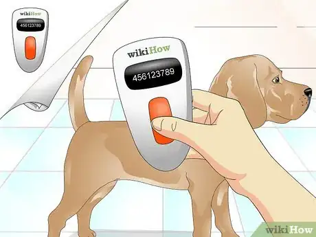 Imagen titulada Tell if a Dog Is Microchipped Step 3
