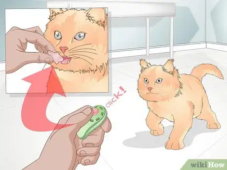 Imagen titulada Teach Your Cat to Give a Handshake Step 4