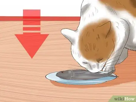 Imagen titulada Get Your Cat Out of the Malnutrition Stage Step 10