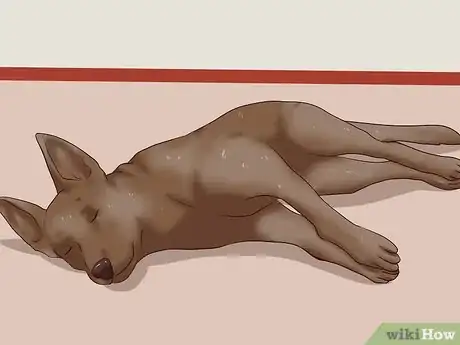 Imagen titulada Trim a Dog's Nails Step 3