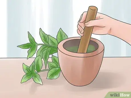 Imagen titulada Cure an Ear Infection Step 17