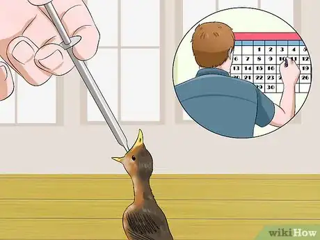 Imagen titulada Make Emergency Baby Bird Food Step 8