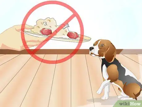 Imagen titulada Determine if Your Dog Has Food Allergies Step 6