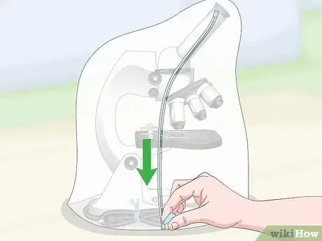 Imagen titulada Put Away a Microscope Step 11
