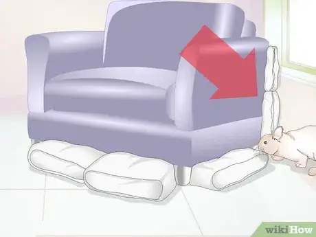Imagen titulada Teach a Rabbit Not to Chew Furniture Step 13