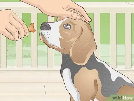 Imagen titulada Stop a Dog's Unwanted Behavior Step 8
