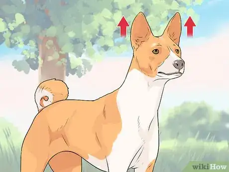Imagen titulada Tell if a Dog Is Going to Attack Step 3