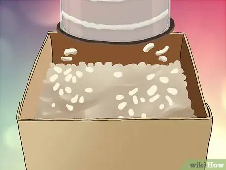 Imagen titulada Ship a Cake Step 4