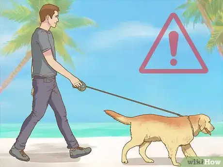 Imagen titulada Get Rid of Sandfleas Step 11