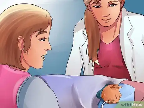 Imagen titulada Prepare Your Cat for Surgery Step 14