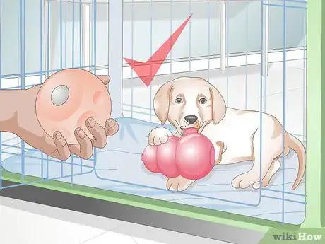 Imagen titulada Get Your Puppy To Sleep in Its Own Bed Step 13