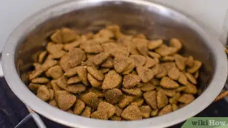 Imagen titulada Make Your Dog Smell Better Step 12