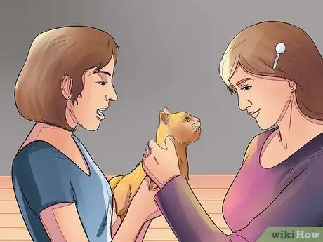 Imagen titulada Prepare Your Cat for Surgery Step 12
